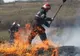 Video/300 mp de vegetație uscată au ars la Șura Mică într-un incendiu