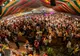 Sărbătoare în centrul Sibiului. Bere și specialități bavareze, la CibinFEST