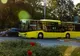 Tursib inițiază o campanie pentru îmbunătățirea condițiilor de transport