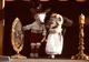 "Cenușăreasa" se joacă în premieră la "Gong", în limba germană