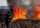 Incendiu de vegetație uscată, în Țapu