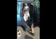 VIDEO/ 12 persoane într-un autoturism pe DN7. Șoferul a fost amendat cu peste 800 de lei