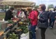 Piața Transilvania a împlinit șapte ani de existență