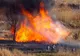 Incendiu de vegetație uscată, în Jina