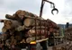 Amendă pentru un jinar care transporta lemne ilegal. Tânărul nu avea nici permis de conducere