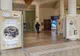 În sediul primăriei din Sibiu poate fi vizitată o expoziție dedicată femeilor care au scris istorie 
