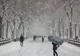 Temperaturi maxime de 4 grade Celsius, săptămâna viitoare, în județul Sibiu