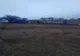 Patru argeșeni, reținuți după ce i-ar fi furat unei femei din Cârțișoara 20 de oi 