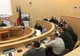 Administratorii fondurilor cinegetice, consultați de CJ Sibiu pentru o bună amplasare a indicatoarelor de semnalizare ”Atenție animale”