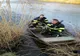 Un câine căzut în lacul din Cisnădie, salvat de pompieri