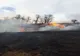 Incendii de vegetație uscată, pe DN1 și la Glâmboaca