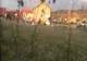 VIDEO | Asistentă de la ATI, jignită de vecini, deoarece are grijă de bolnavi de coronavirus