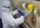 Șapte copii, testați pozitiv cu noul coronavirus și internați la Pediatrie