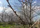Vreme caldă, săptămâna viitoare, în județul Sibiu. Temperaturi maxime de 21 grade Celsius