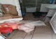 Opt societăți comerciale, sancționate cu amenzi în valoare de 41.500 lei. 172 de kilograme de carne de pasăre, confiscate