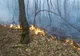 Incendiu de vegetație uscată în Alțâna și Agnita