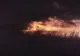 VIDEO | Șase hectare de vegetație uscată din Axente Sever au ars într-un incendiu, seara trecută