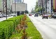 Sibiul își va stabili Strategia de Dezvoltare și Planul de Mobilitate pentru următorii ani