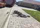 Accident în Avrig. Un motociclist, rănit