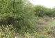 Primăria Sibiu continuă identificarea terenurilor neîngrijite din oraș