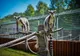 Se redeschide Grădina Zoologică din Sibiu. Măsuri speciale pentru vizitatori