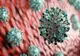 371 de sibieni, confirmați cu coronavirus. În România, sunt 13.837 de cazuri