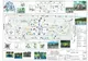 Parcul din Piața Cluj va fi complet reconfigurat și modernizat