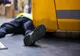Weekend negru pe șoselele din Sibiu! Al doilea accident mortal, în 24 de ore
