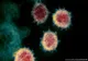 10 cazuri noi de infectare cu coronavirus, în județul Sibiu