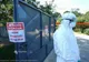 Trei focare de pestă porcină africană, în județul Sibiu