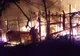 10 găini și un iepure s-au făcut scrum într-un incendiu!