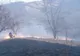 Incendiu la 20 de hectare de vegetație