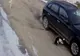 VIDEO Câine lovit de o mașină la Cisnădioara. Șoferul și-a continuat liniștit drumul