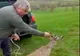 VIDEO Căprior salvat de vânătorii sibieni dintr-o mlaștină