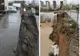 VIDEO FOTO: Situație critică pe strada Doamna Stanca – Sute de familii disperate – „Ne temem să nu cadă blocul”