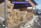 Transport ilegal de material lemnos