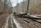Tânăr rănit grav pe un drum forestier