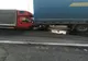 Accident rutier pe A1, cu 4 victime!