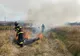Incendiu de vegetație în localitatea Mohu