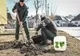 Cartierul Ștrand devine mai verde. Plantări și în alte zone din oraș