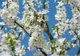 Temperaturi anormale, în România. Ce urmează după valul de frig - avertismentul meteorologilor