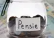 Se schimbă legea! Noi opțiuni pentru pensionarii cu stagiul de cotizare sub 15 ani