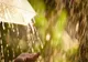 Temperaturi mai SCĂZUTE față de normalele perioadei, în următoarele două săptămâni. Cum va fi vremea de 1 mai - Anunțul meteorologilor