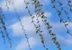 Vremea 18 februarie - Diferențe uriașe de temperatură de la o oră la alta