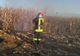 UPDATE | Incendiu la un lan de porumb între Şura Mică şi Ocna Sibiului