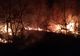 Cinci hectare au ars într-un incendiu de vegetație
