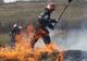 Video/300 mp de vegetație uscată au ars la Șura Mică într-un incendiu