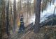 Al treilea incendiu la litiera pădurii Măgura. Pompierii recomandă o serie de măsuri preventive