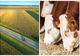 Ministerul Agriculturii propune eliminarea impozitului pe terenurile agricole pentru unii crescători de animale
