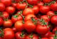 Programul Tomata continuă și în 2020